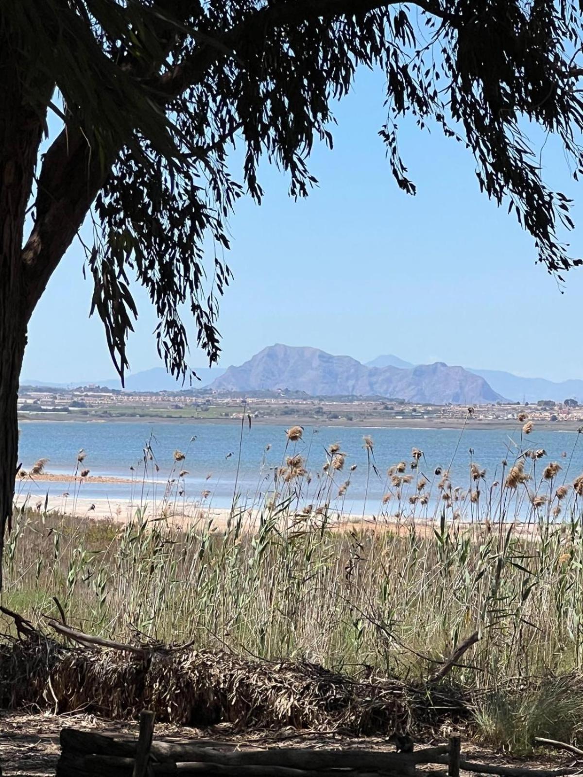 107 Sea Side - Alicante Holiday Ла Мата Екстериор снимка
